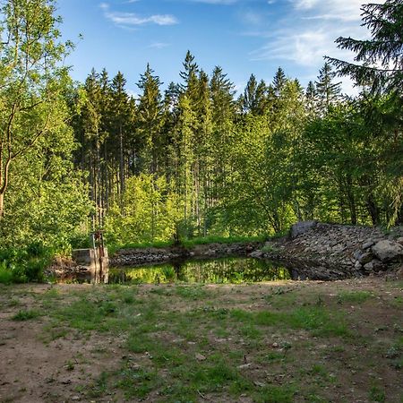 Apartament Arktik Lesni Mlyn Novy Rychnov Zewnętrze zdjęcie