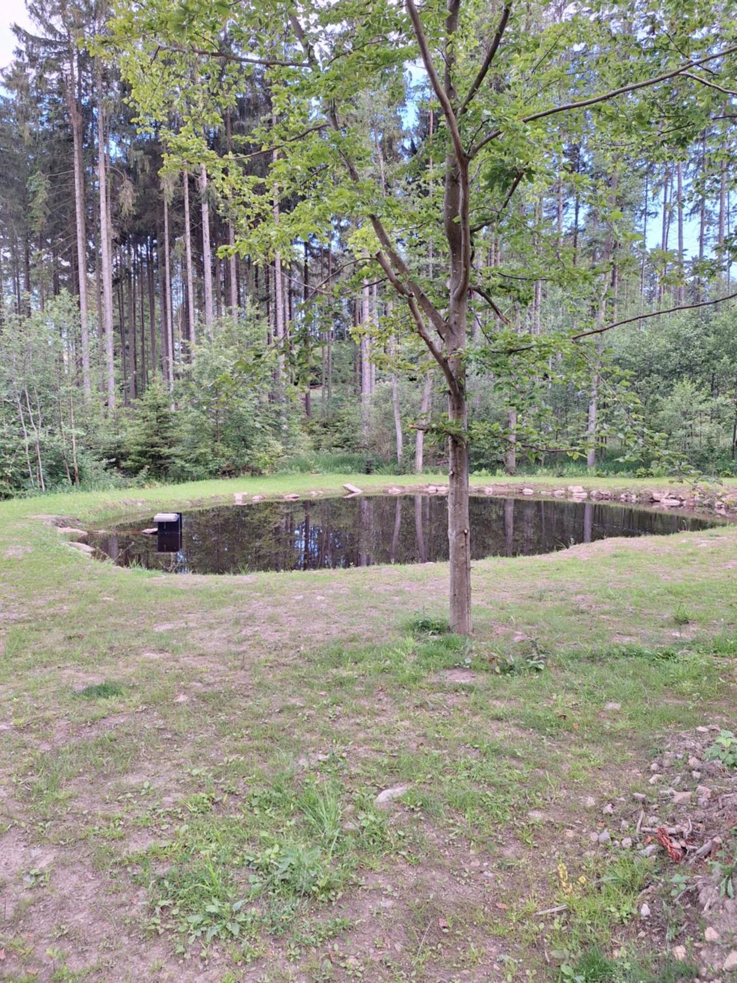 Apartament Arktik Lesni Mlyn Novy Rychnov Zewnętrze zdjęcie